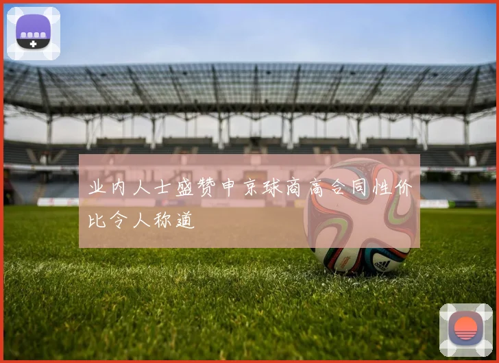 业内人士盛赞申京球商高合同性价比令人称道